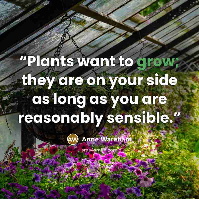 “Plants want to grow; they are on your side as long as you are reasonably sensible.” quote by Anne Wareham