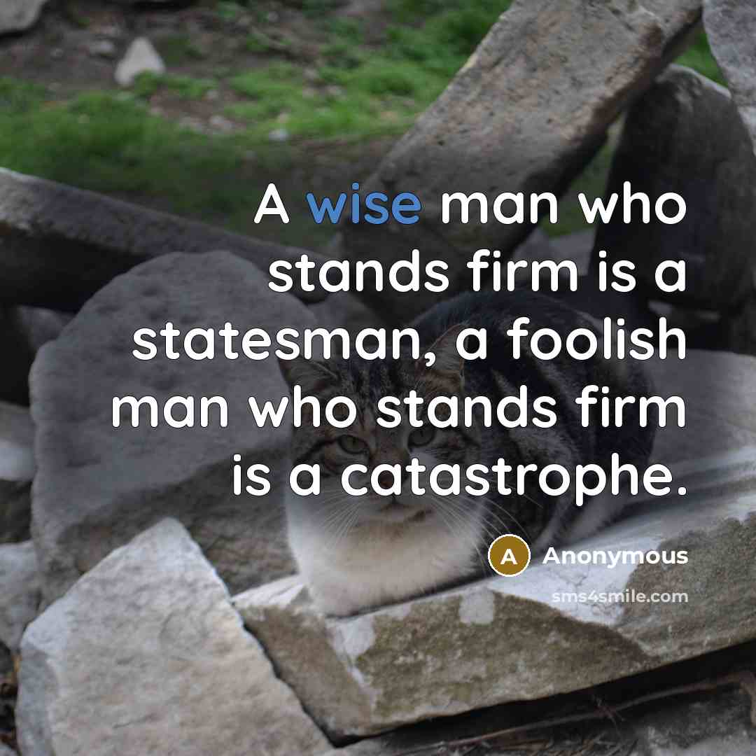 “A wise man who stands firm is a statesman, a…” quote by Anonymous
