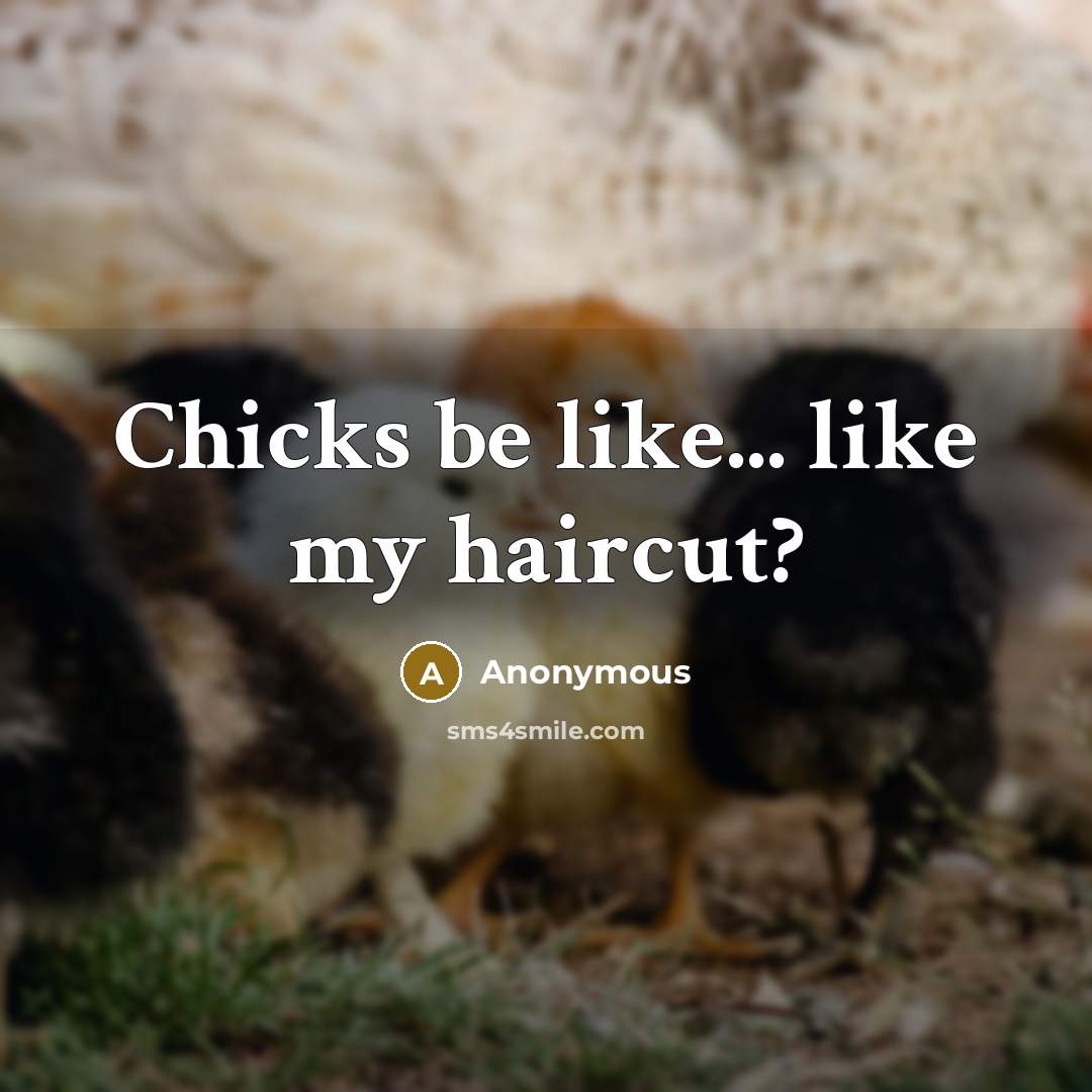 “Chicks be like... like my haircut?…” quote by Anonymous