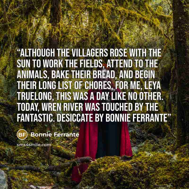 “Although the villagers rose with the sun to work the fields, attend to the animals, bake their bread, and begin their long list of chores, for me, Leya Truelong, this was a day like no other. Today, Wren River was touched by the fantastic. Desiccate by Bonnie Ferrante” quote by Bonnie Ferrante