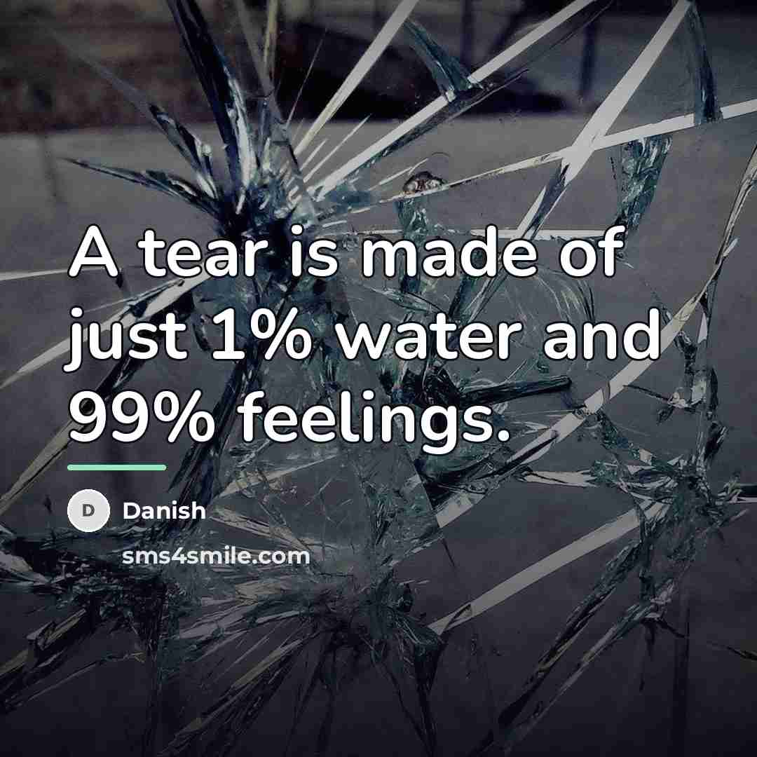 “A tear is made of just 1% water and 99%…” quote by Danish