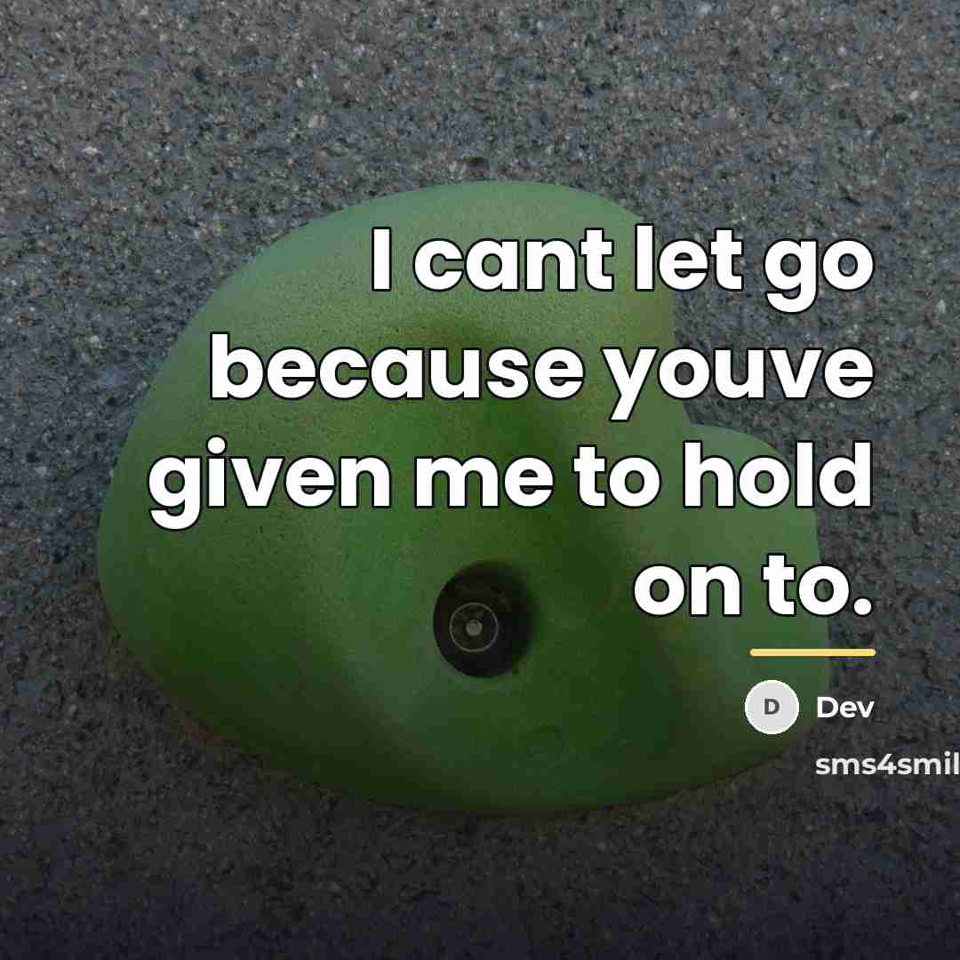 “I cant let go because youve given me to hold…” quote by Dev