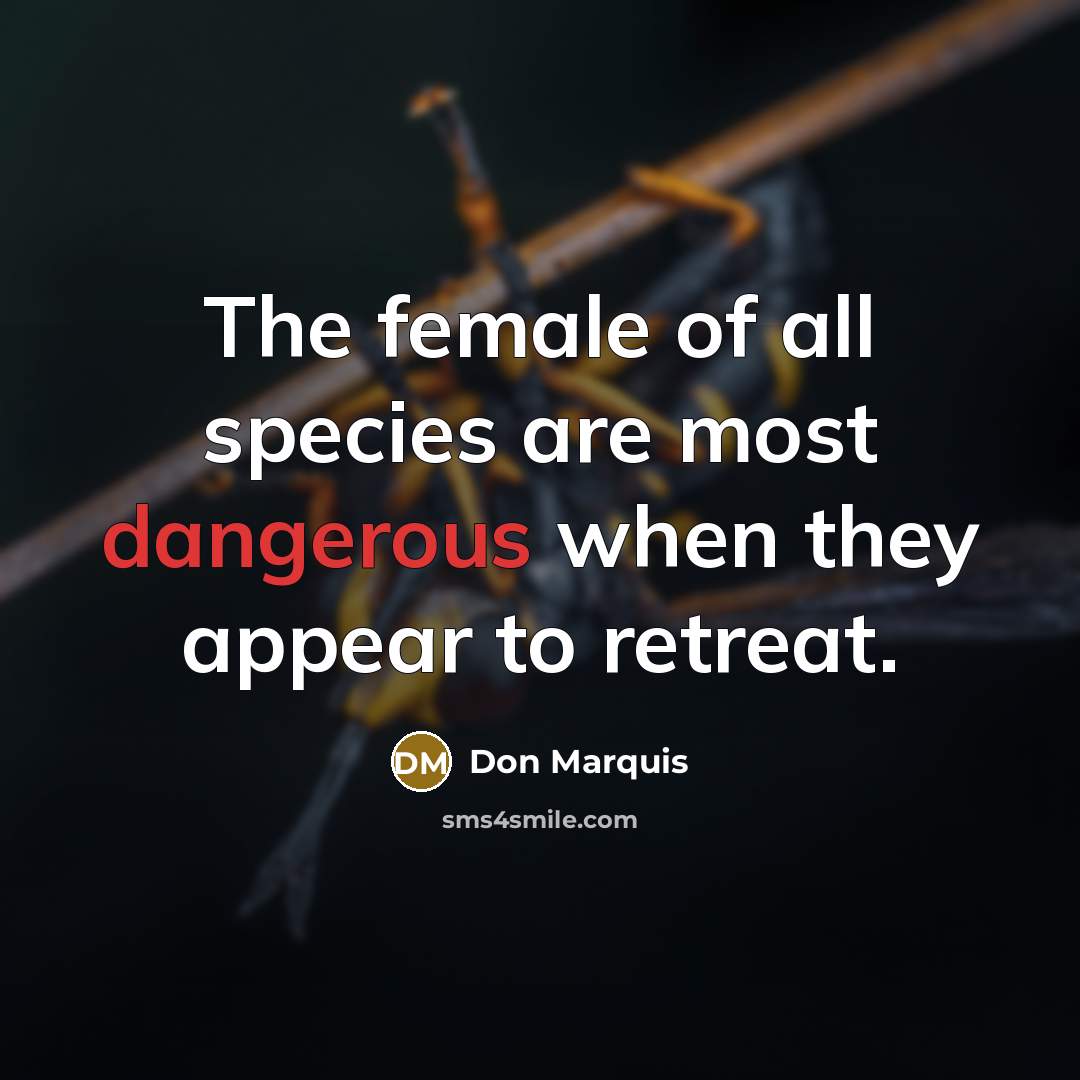 “The female of all species are most dangerous when they…” quote by Don Marquis