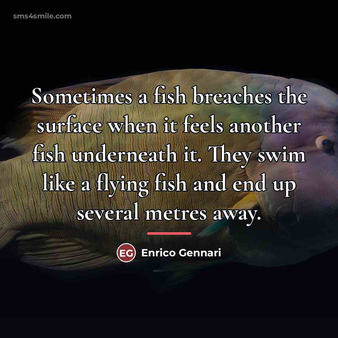 “Sometimes a fish breaches the surface when it feels another…” quote by Enrico Gennari