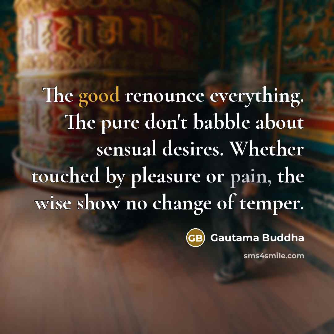 “The good renounce everything. The pure don't babble about sensual…” quote by Gautama Buddha