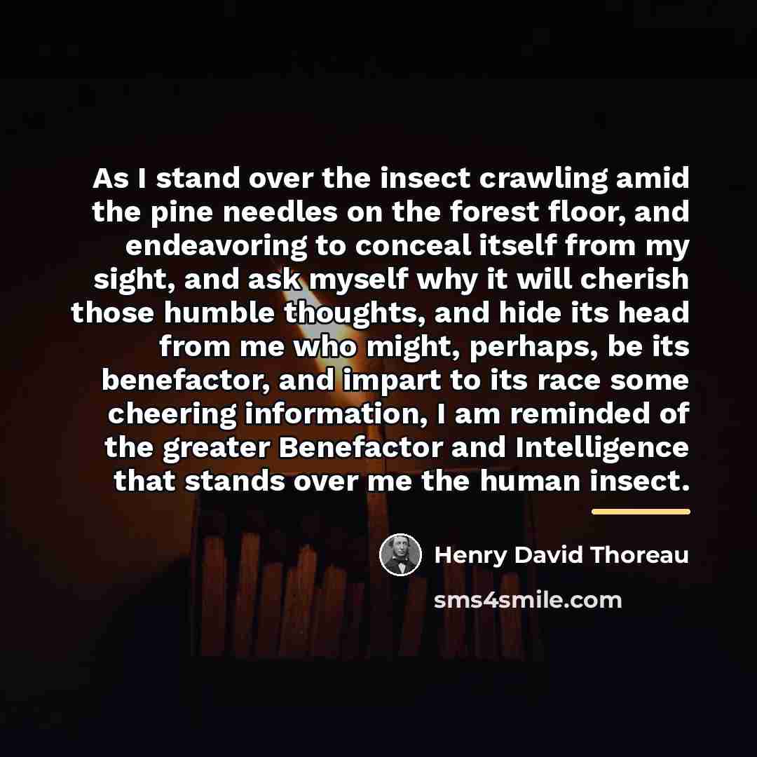 “As I stand over the insect crawling amid the pine…” quote by Henry David Thoreau