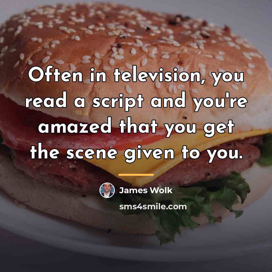 “Often in television, you read a script and you're amazed…” quote by James Wolk