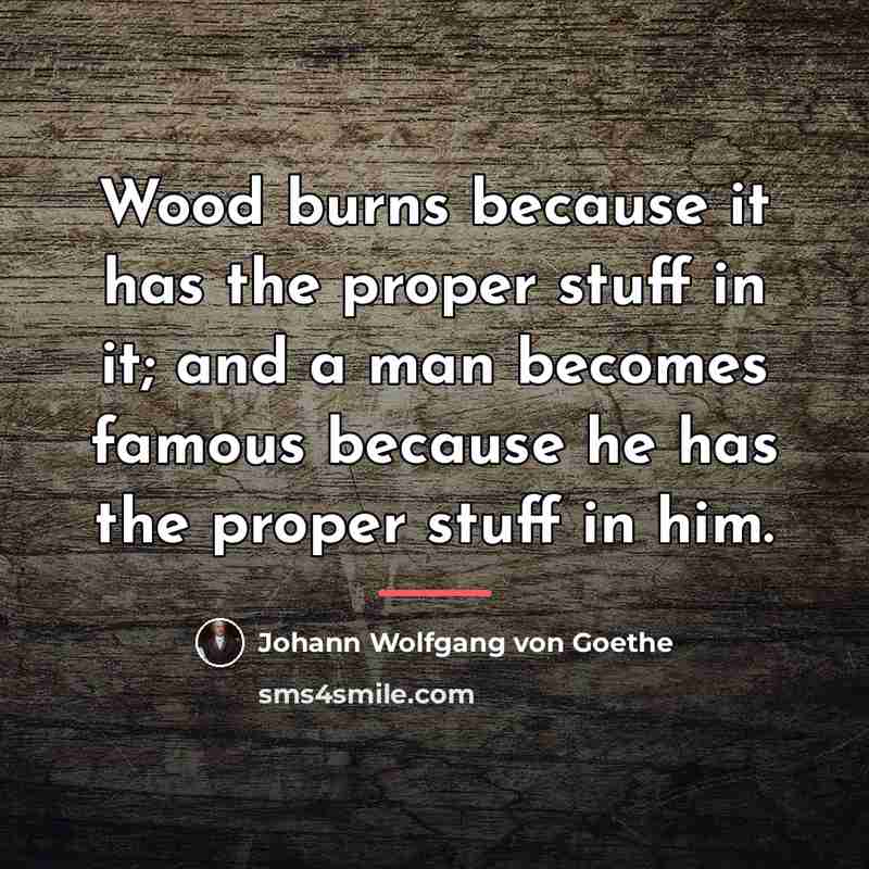 “Wood burns because it has the proper stuff in it;…” quote by Johann Wolfgang von Goethe