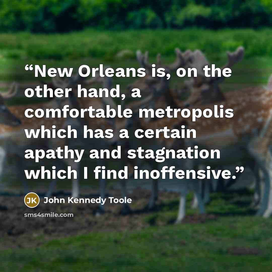 “New Orleans is, on the other hand, a comfortable metropolis which has a certain apathy and stagnation which I find inoffensive.” quote by John Kennedy Toole