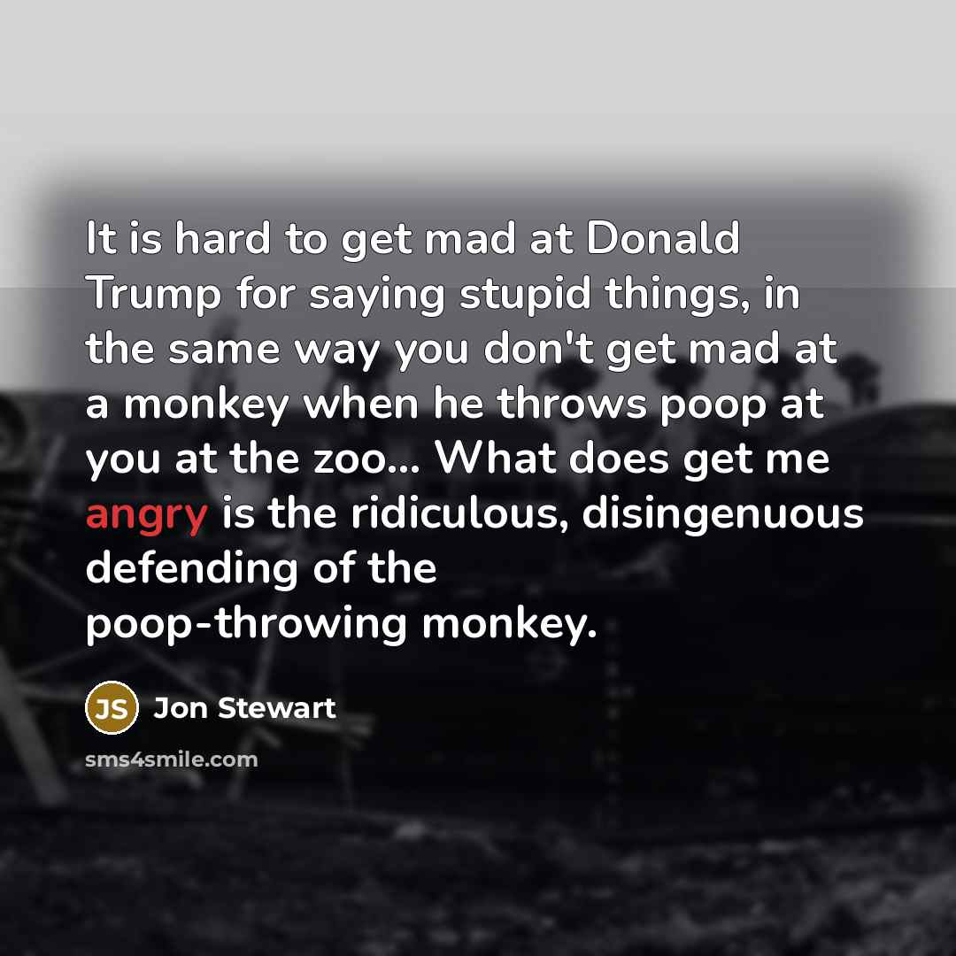 “It is hard to get mad at Donald Trump for…” quote by Jon Stewart