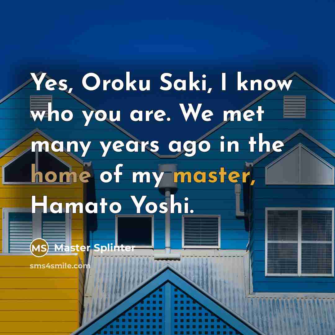 “Yes, Oroku Saki, I know who you are. We met many years ago in the home of my master, Hamato Yoshi.” quote by Master Splinter