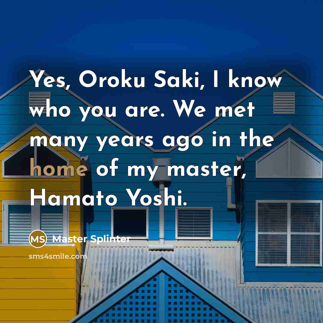 “Yes, Oroku Saki, I know who you are. We met…” quote by Master Splinter