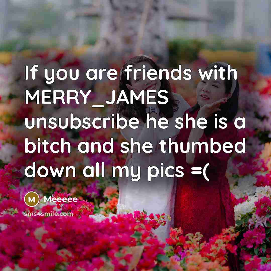 “If you are friends with MERRY_JAMES unsubscribe he she is a bitch and she thumbed down all my pics =(” quote by MEEEEE