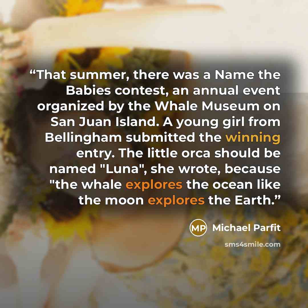 “That summer, there was a Name the Babies contest, an annual event organized by the Whale Museum on San Juan Island. A young girl from Bellingham submitted the winning entry. The little orca should be named "Luna", she wrote, because "the whale explores the ocean like the moon explores the Earth.” quote by Michael Parfit