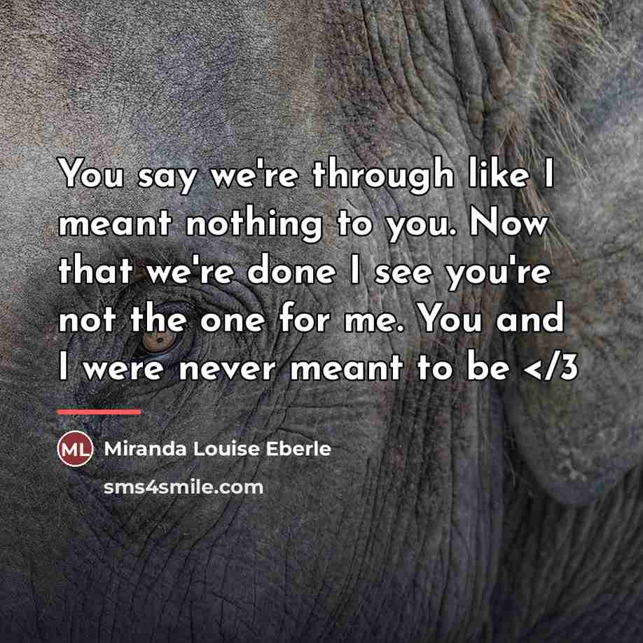 “You say we're through like I meant nothing to you.…” quote by Miranda Louise Eberle