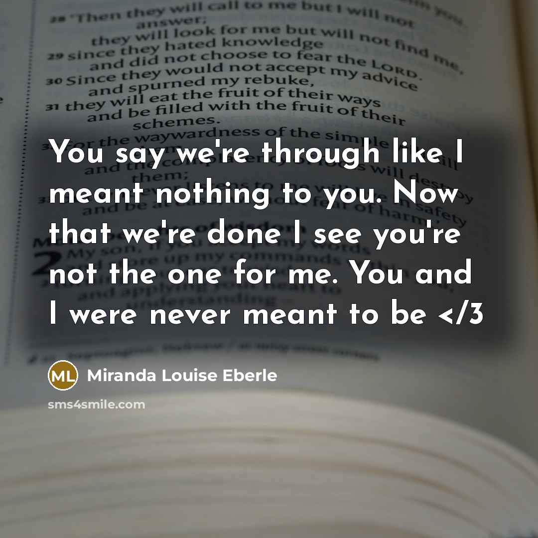 “You say we're through like I meant nothing to you. Now that we're done I see you're not the one for me. You and I were never meant to be” quote by Miranda Louise Eberle