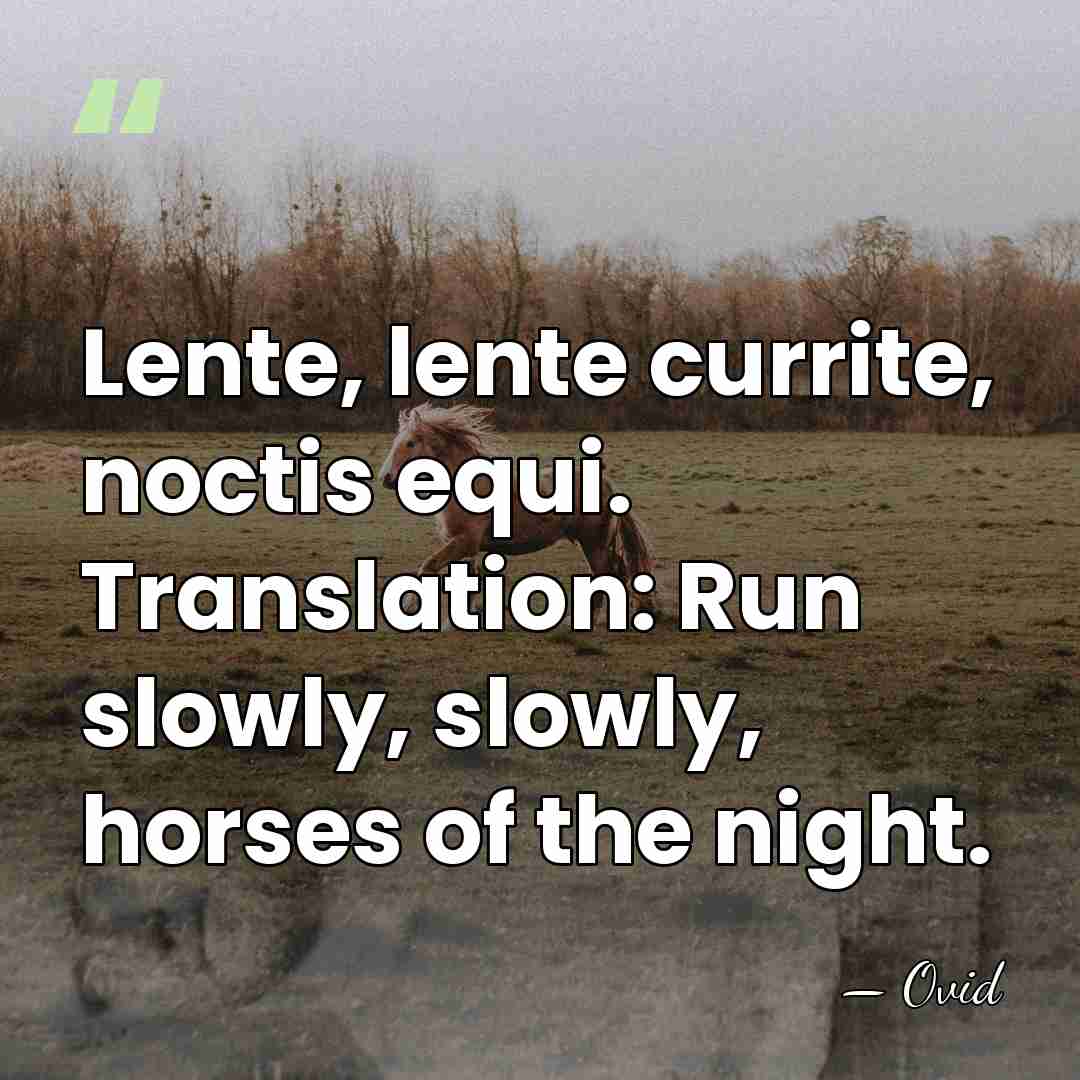 Lente, lente currite, noctis equi. Translation: Run slowly, slowly, horses of the&hellip; - Ovid