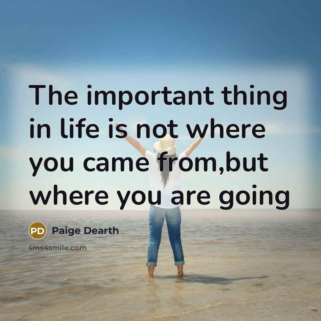 “The important thing in life is not where you came…” quote by Paige Dearth