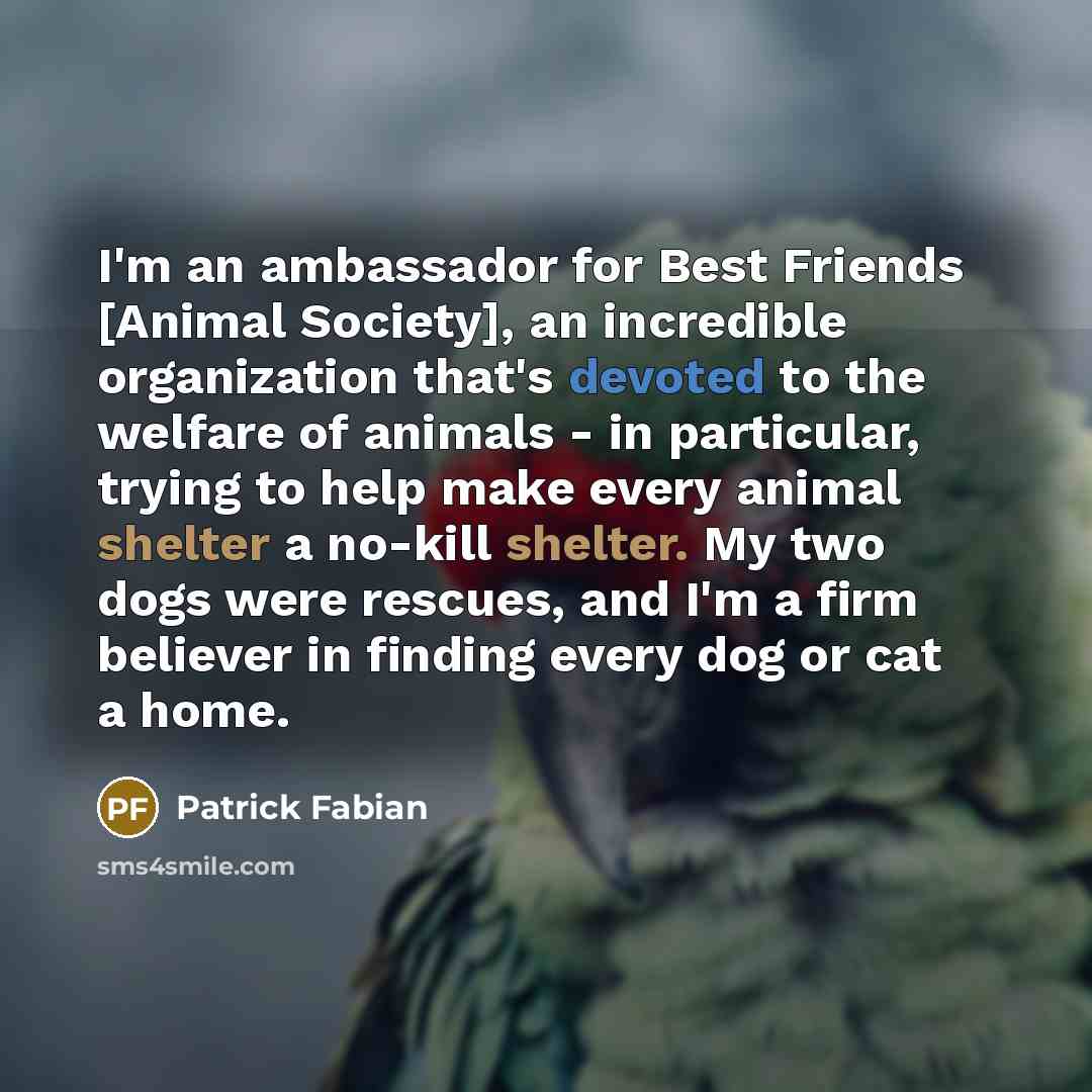 “I'm an ambassador for Best Friends [Animal Society], an incredible…” quote by Patrick Fabian