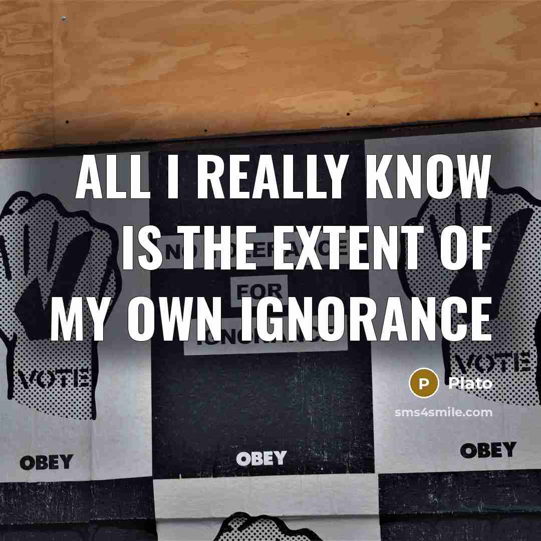 “All I really know is the extent of my own ignorance” quote by Plato