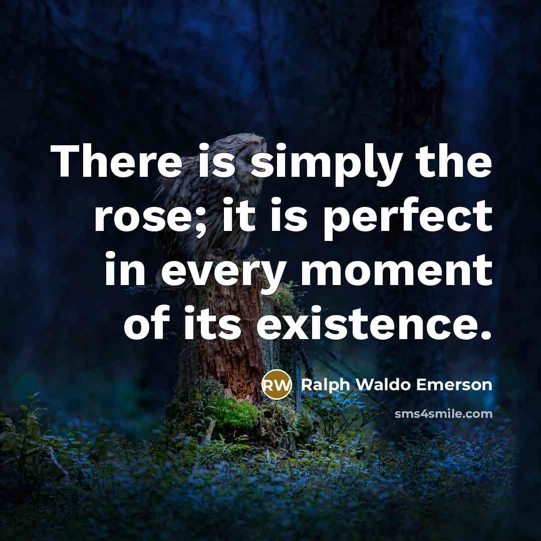 “There is simply the rose; it is perfect in every…” quote by Ralph Waldo Emerson