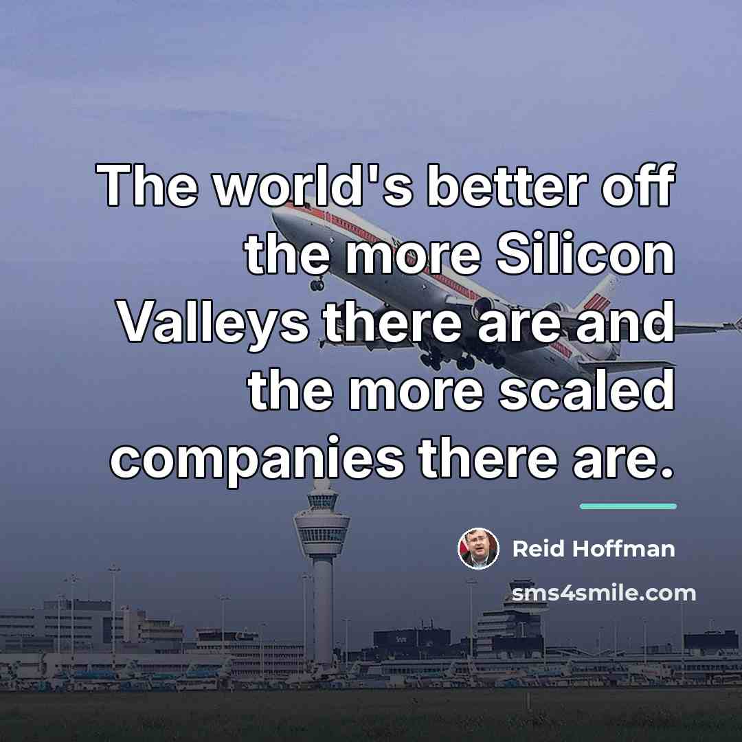 “The world's better off the more Silicon Valleys there are…” quote by Reid Hoffman