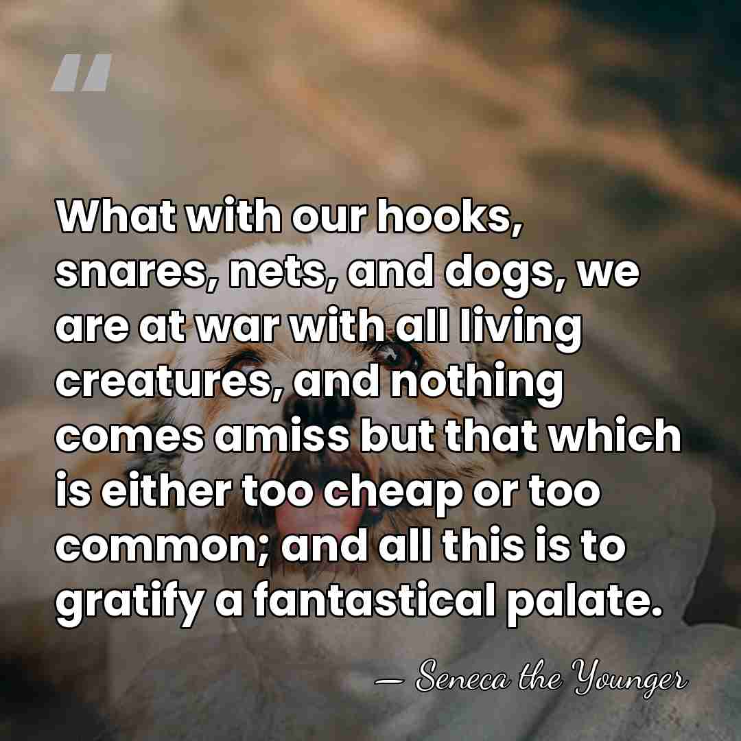 What with our hooks, snares, nets, and dogs, we are at war&hellip; - Seneca the Younger
