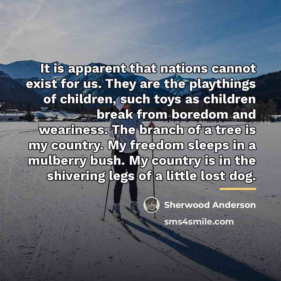 “It is apparent that nations cannot exist for us. They…” quote by Sherwood Anderson