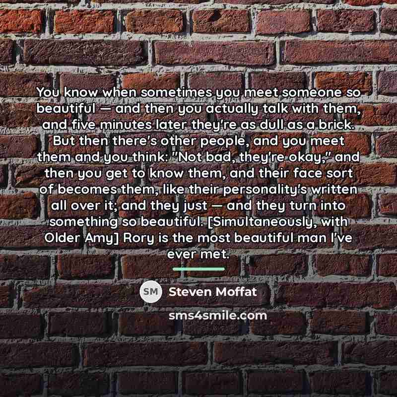 “You know when sometimes you meet someone so beautiful —…” quote by Steven Moffat