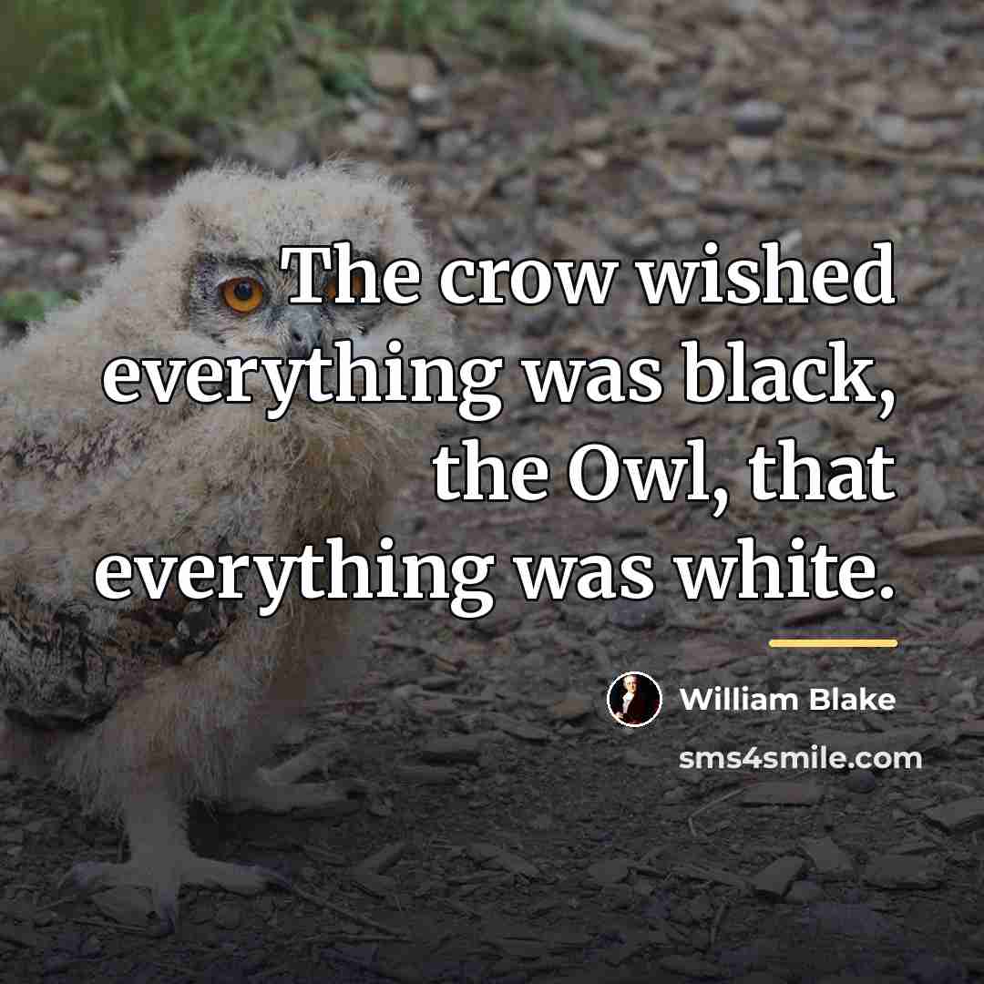 “The crow wished everything was black, the Owl, that everything…” quote by William Blake