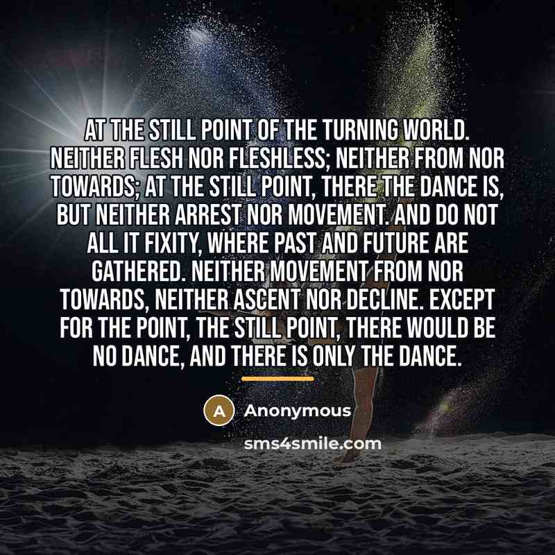 “At the still point of the turning world. Neither flesh…” quote by Anonymous