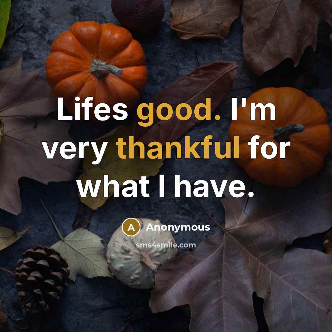 “Lifes good. I'm very thankful for what I have.” quote by Anonymous
