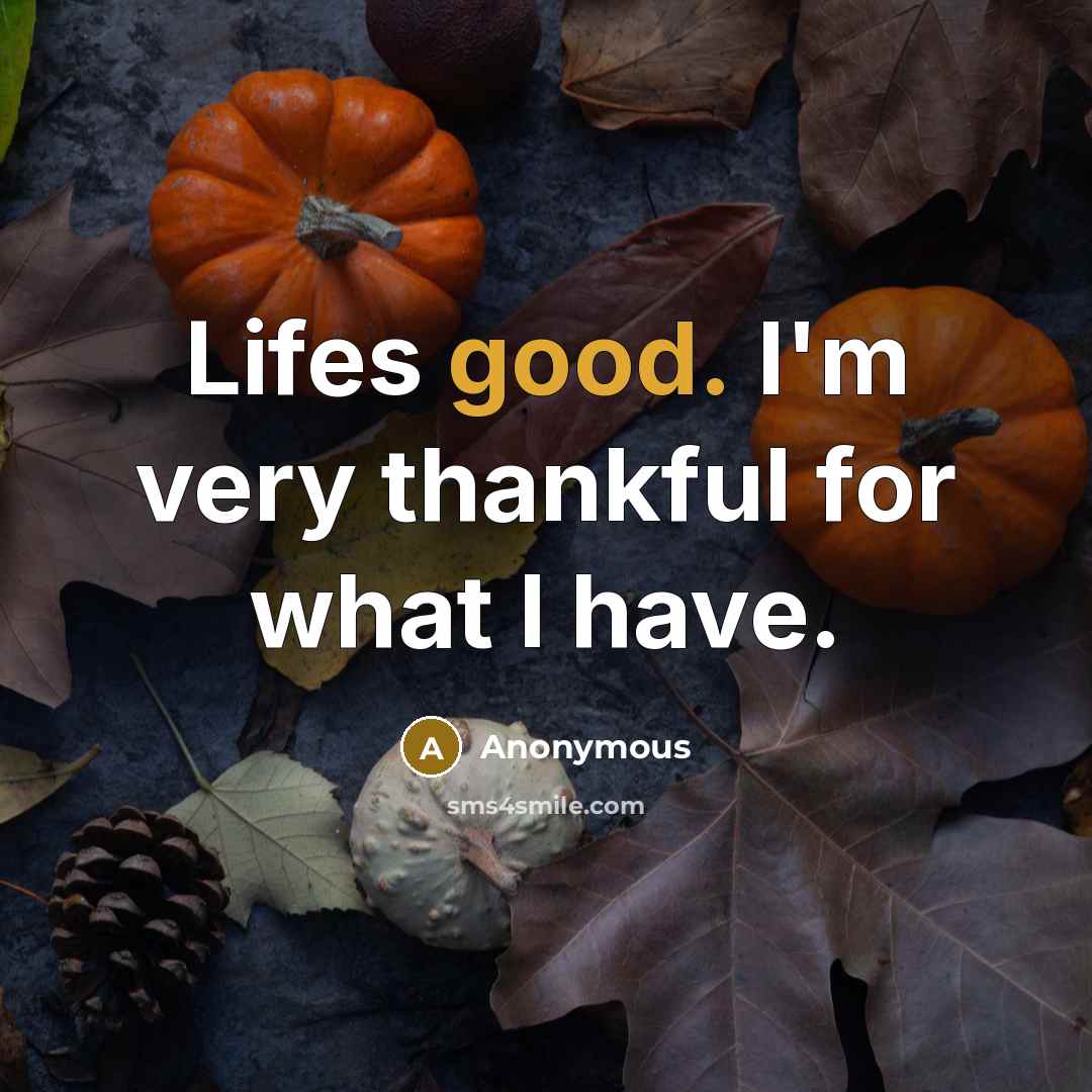 “Lifes good. I'm very thankful for what I have.…” quote by Anonymous