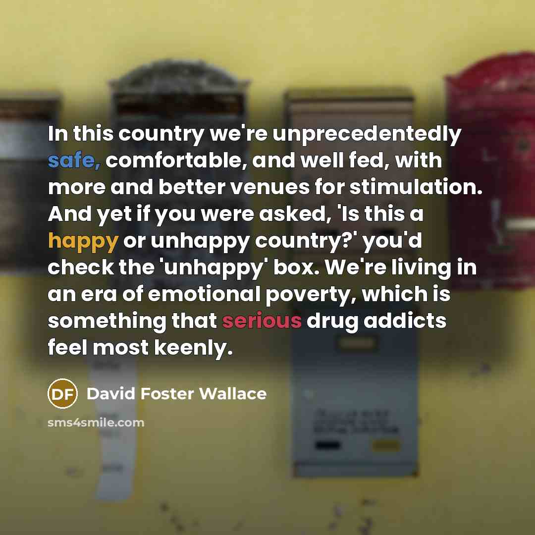 “In this country we're unprecedentedly safe, comfortable, and well fed,…” quote by David Foster Wallace