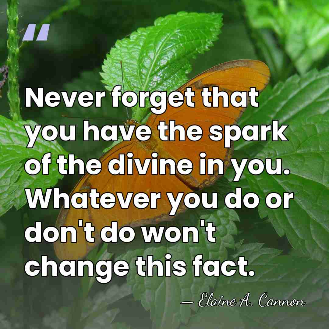 Never forget that you have the spark of the divine in you.&hellip; - Elaine A. Cannon