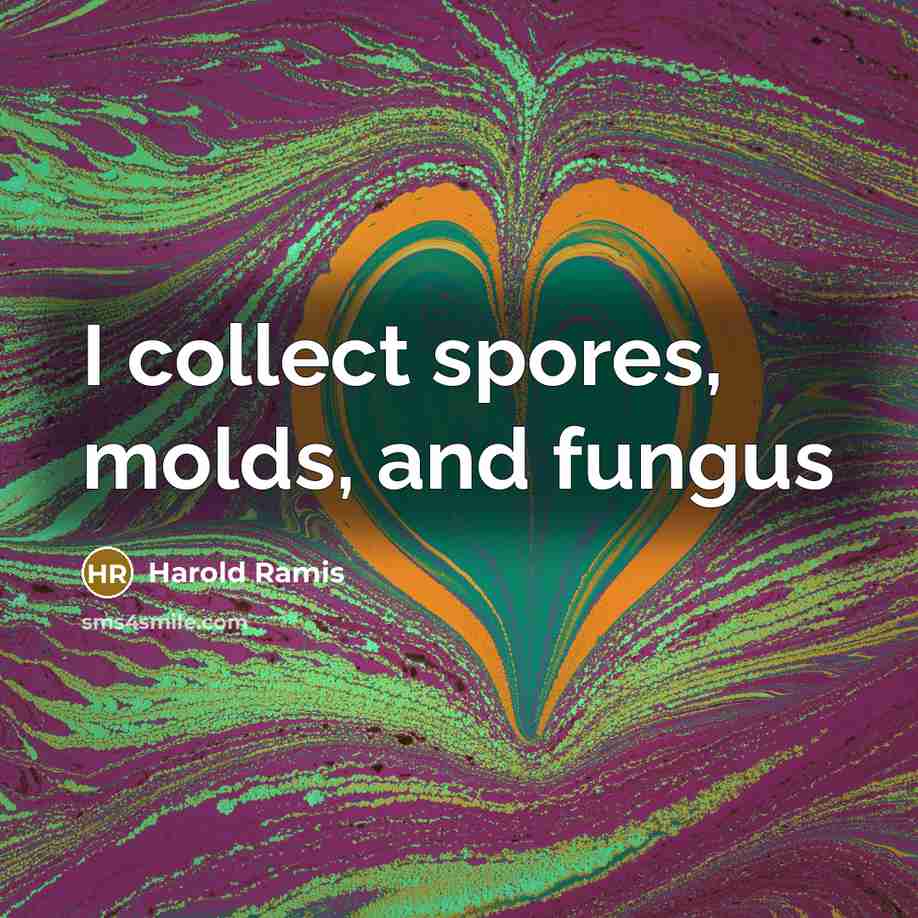“I collect spores, molds, and fungus” quote by Harold Ramis