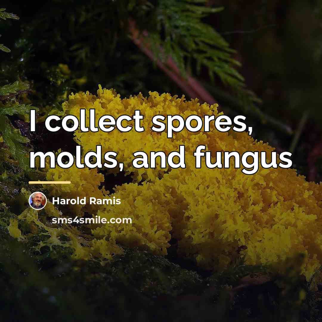 “I collect spores, molds, and fungus…” quote by Harold Ramis