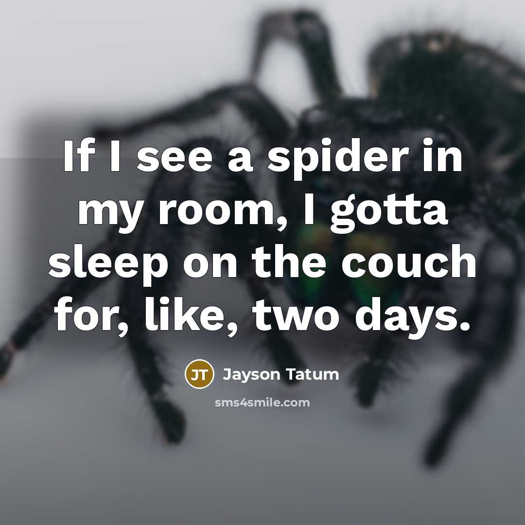 “If I see a spider in my room, I gotta…” quote by Jayson Tatum