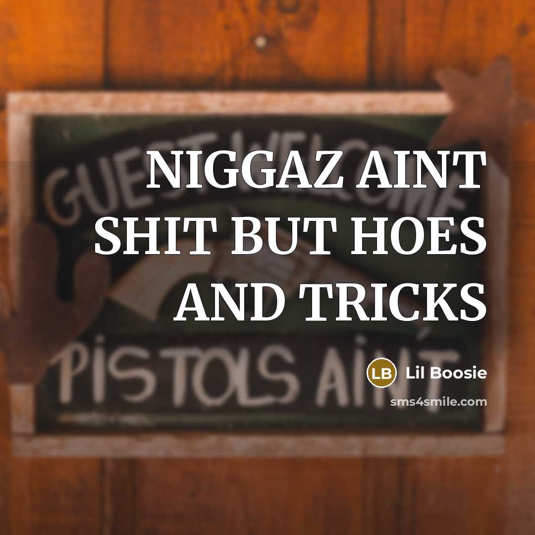 “NIGGAZ AINT SHIT BUT HOES AND TRICKS” quote by Lil Boosie