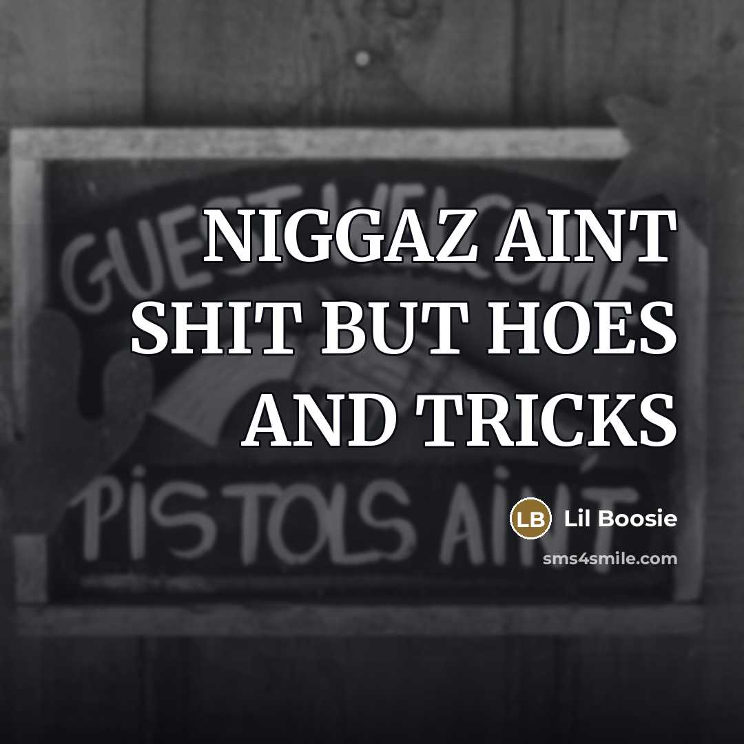 “NIGGAZ AINT SHIT BUT HOES AND TRICKS…” quote by Lil Boosie