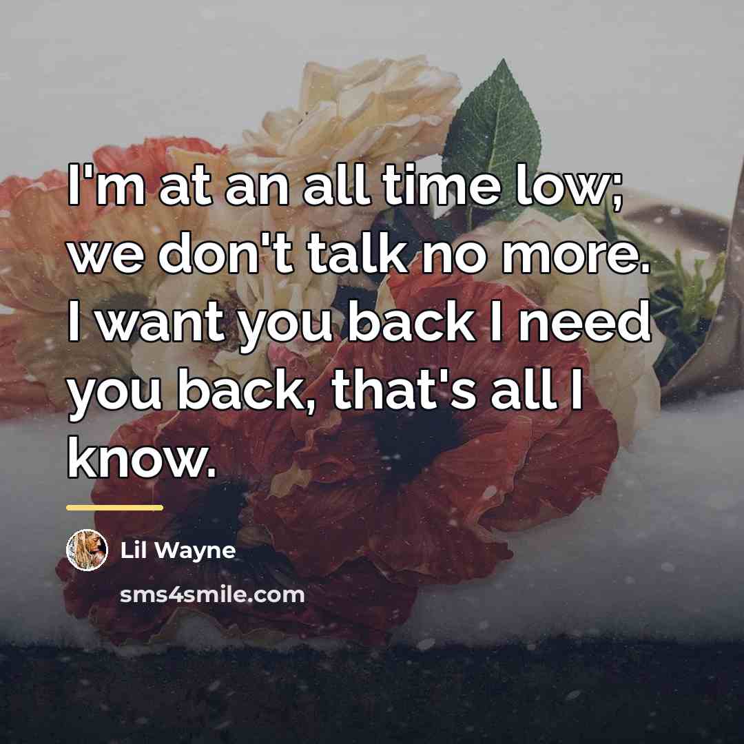 “I'm at an all time low; we don't talk no…” quote by Lil Wayne