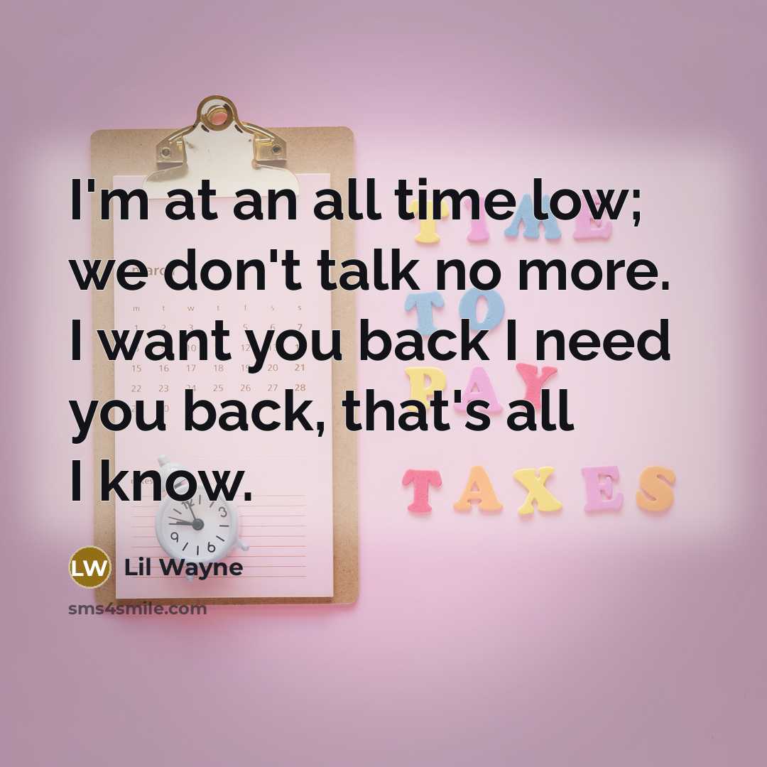 “I'm at an all time low; we don't talk no more. I want you back I need you back, that's all I know.” quote by Lil Wayne
