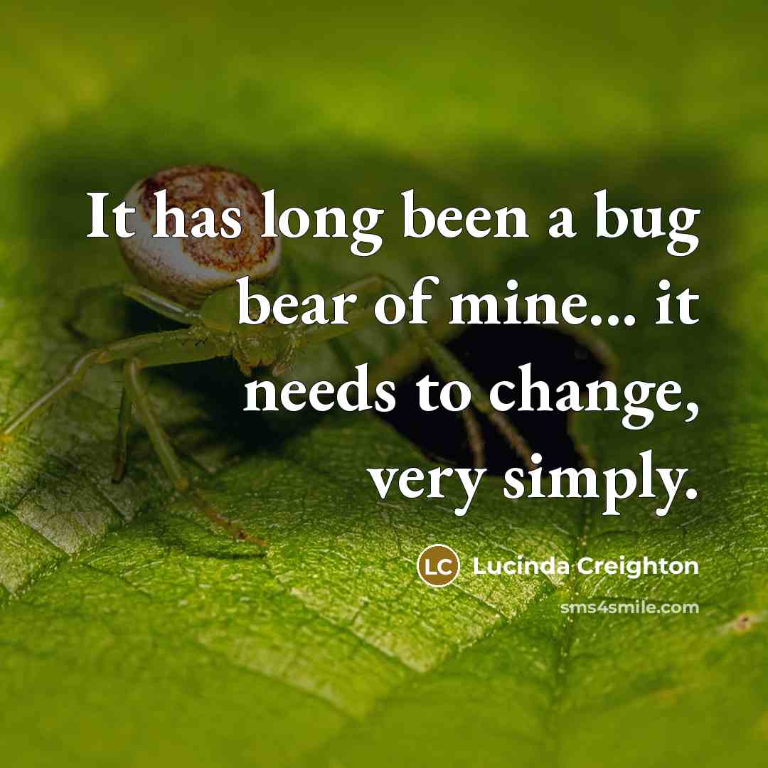 “It has long been a bug bear of mine... it…” quote by Lucinda Creighton