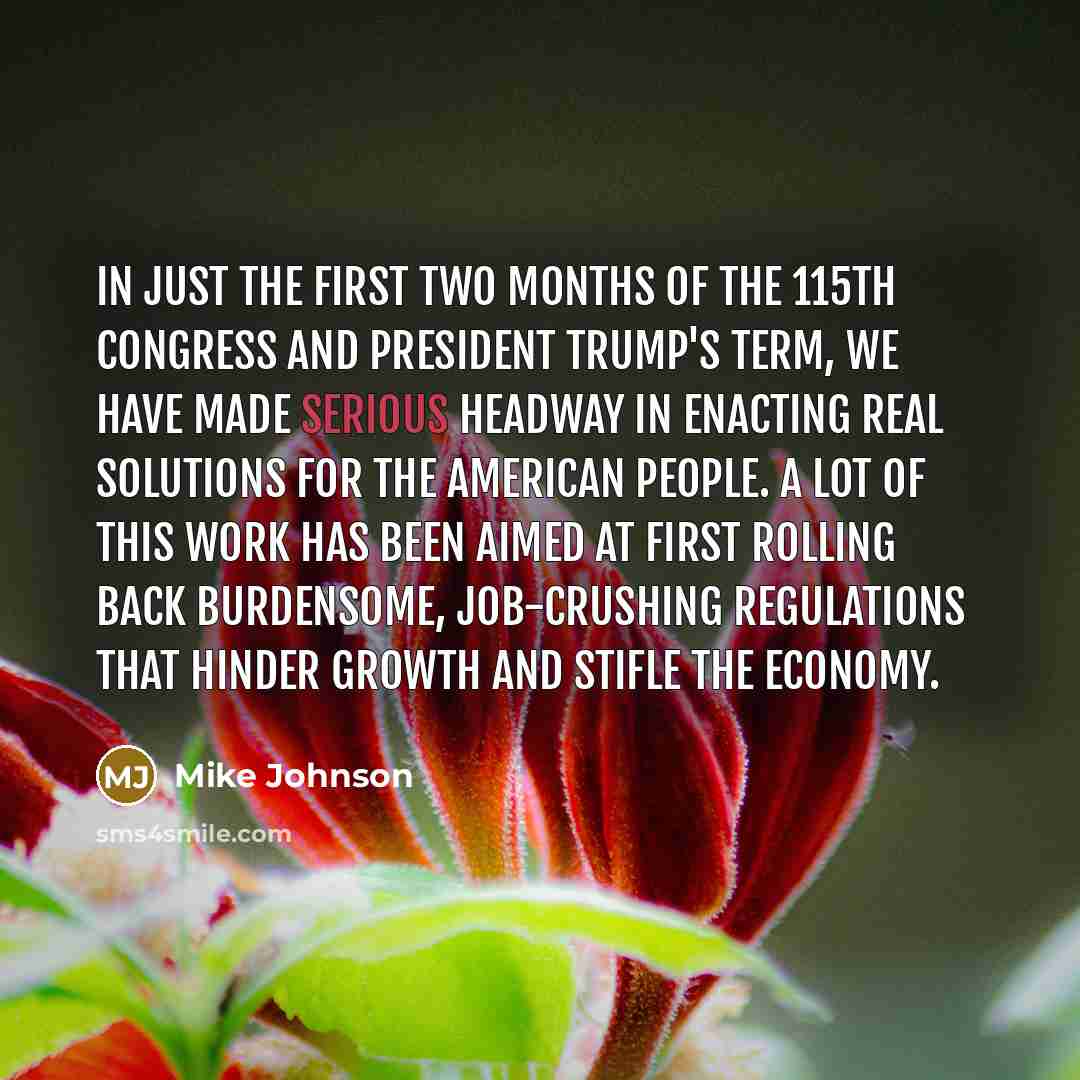 “In just the first two months of the 115th Congress…” quote by Mike Johnson