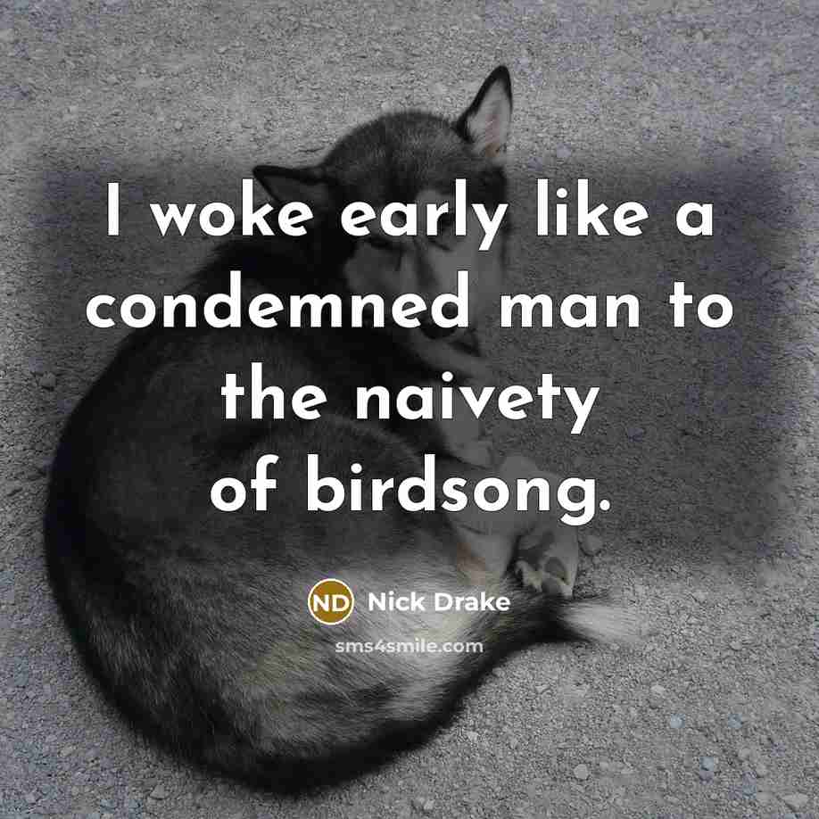 “I woke early like a condemned man to the naivety…” quote by Nick Drake