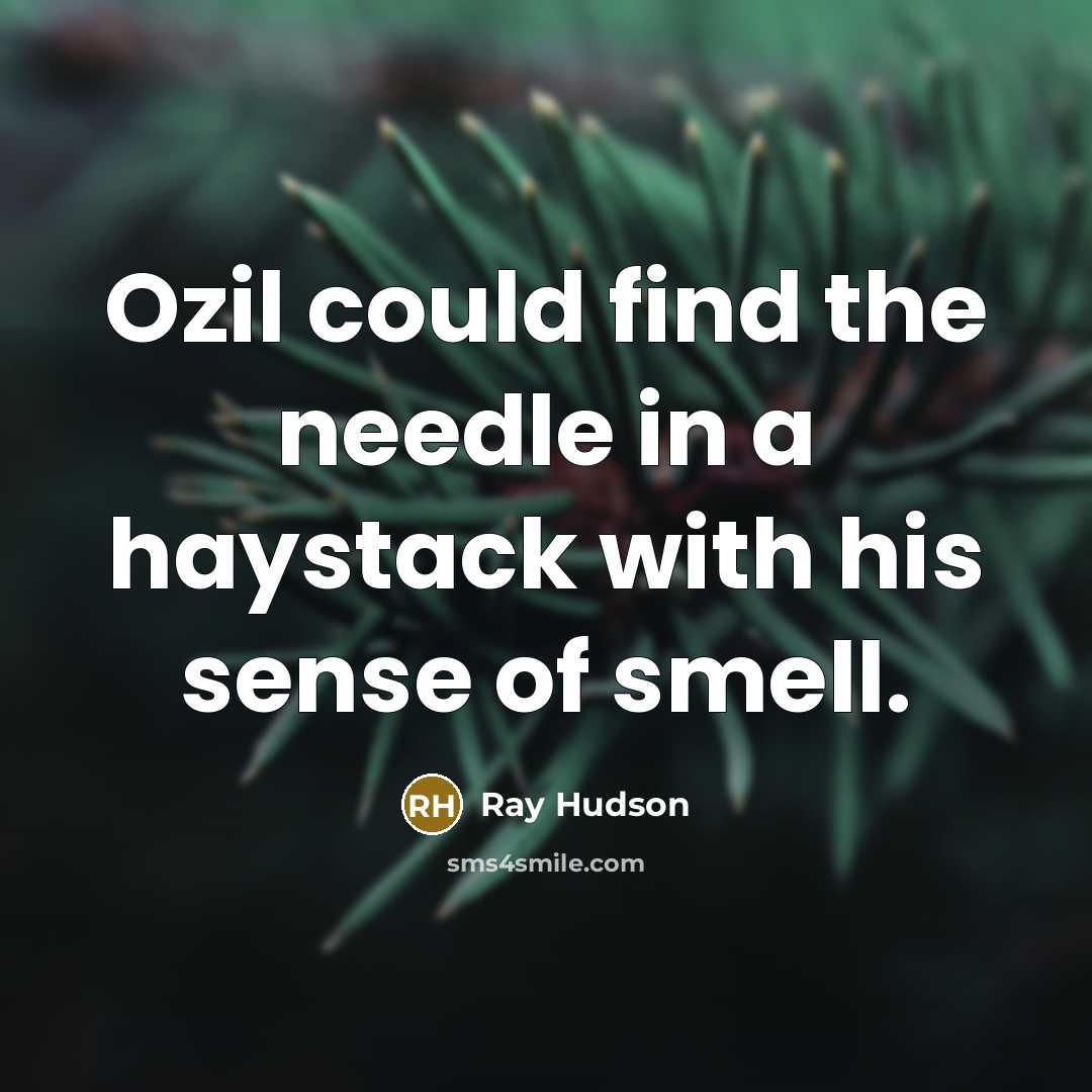 “Ozil could find the needle in a haystack with his…” quote by Ray Hudson