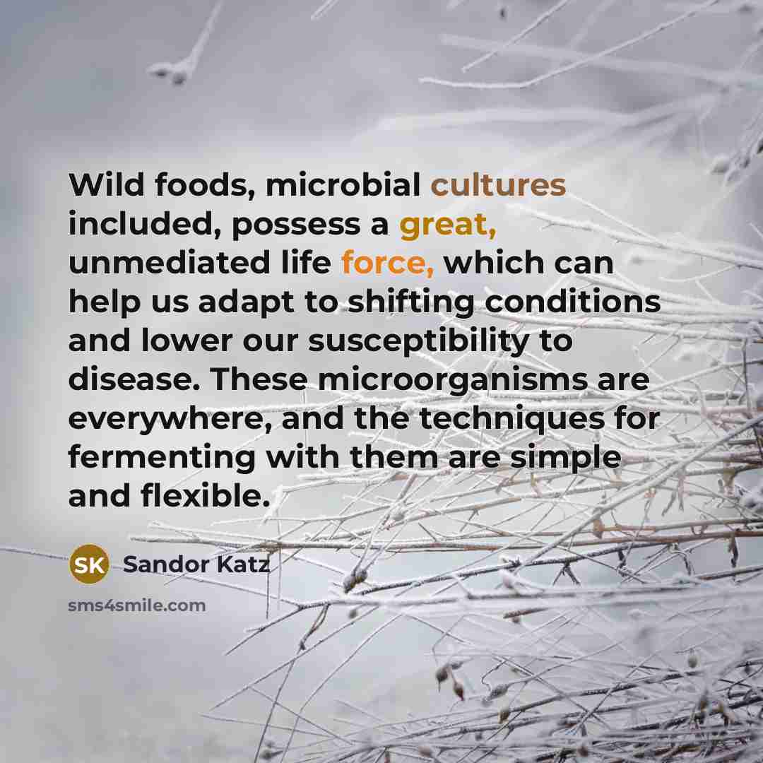“Wild foods, microbial cultures included, possess a great, unmediated life…” quote by Sandor Katz