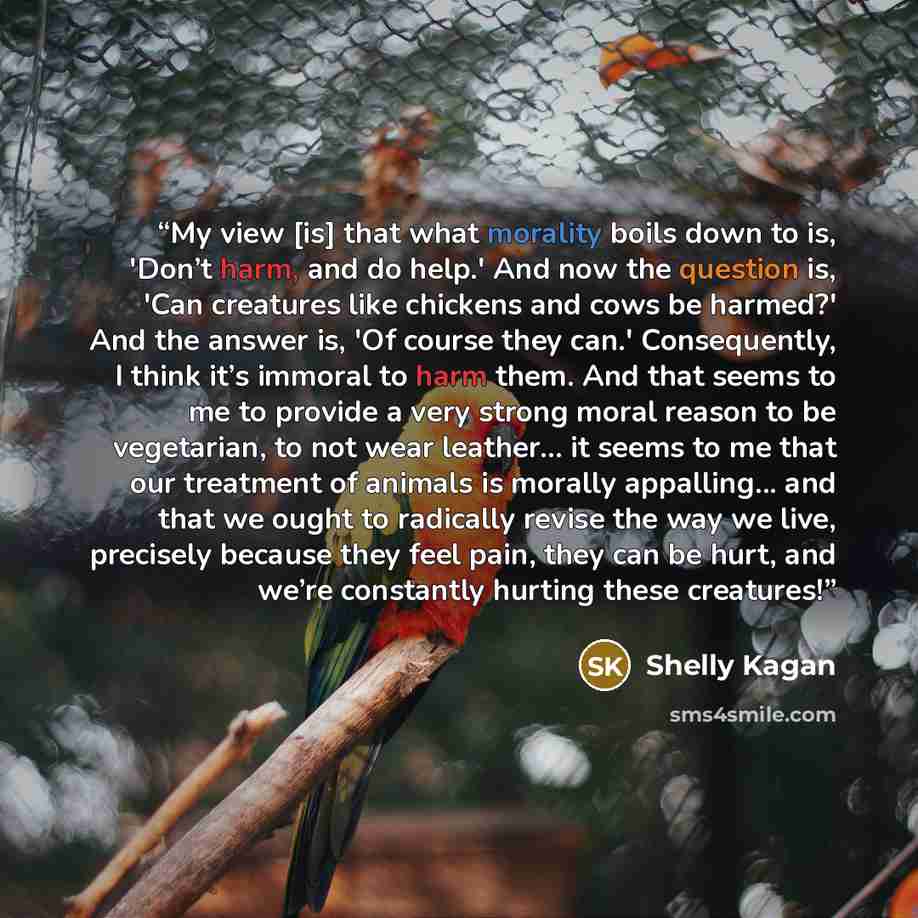 “My view [is] that what morality boils down to is, 'Don’t harm, and do help.' And now the question is, 'Can creatures like chickens and cows be harmed?' And the answer is, 'Of course they can.' Consequently, I think it’s immoral to harm them. And that seems to me to provide a very strong moral…” quote by Shelly Kagan