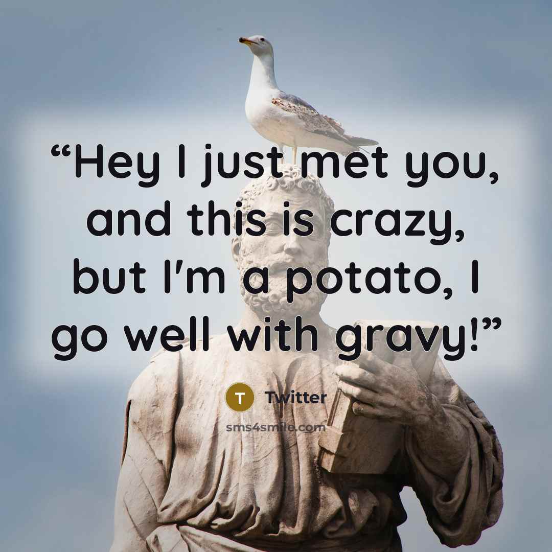 “Hey I just met you, and this is crazy, but I'm a potato, I go well with gravy!” quote by Twitter
