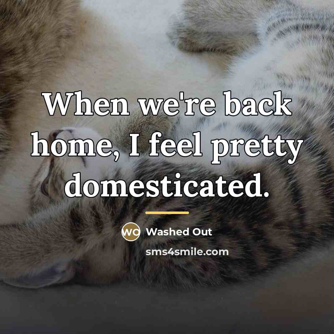 “When we're back home, I feel pretty domesticated.…” quote by Washed Out